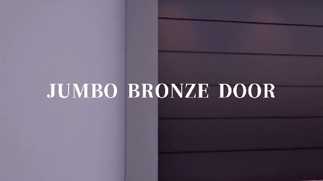 极简线条，开启你的潮流车库#中宝天一铜门 #别墅门 #铜门 #上海