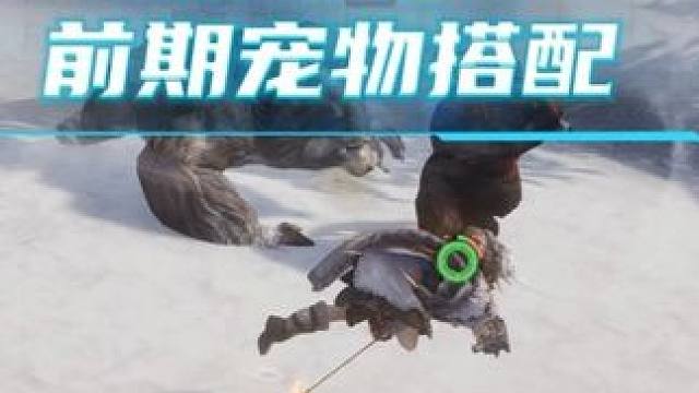 （荒原曙光）前期宠物伙伴搭配阵容！