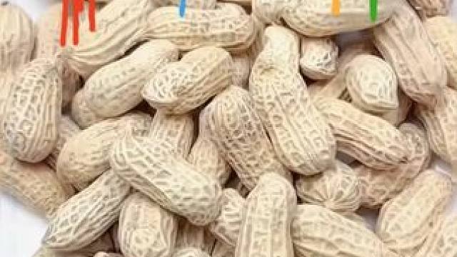 【2025年新货】水煮花生天然晒干日晒白玉咸干花生新鲜白晒花生