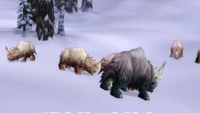 时光服猎人的5个神宠最高和最低级都在哪抓 另附宝宝天赋