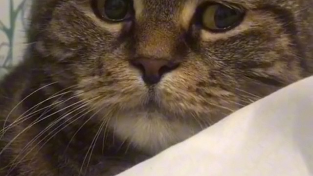 大成航空带你解锁行业新赛道