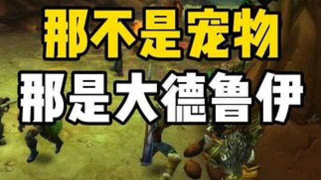 那不是宠物 那是人称大德鲁伊的小德