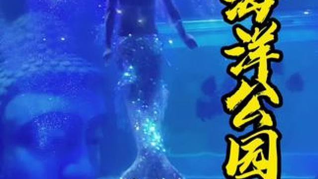 眉山看美人鱼表演 ，不出城带娃儿耍眉山人的海洋公园