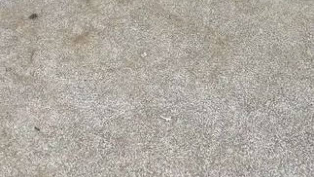 我不敢相信我没有早点意识到这一点！