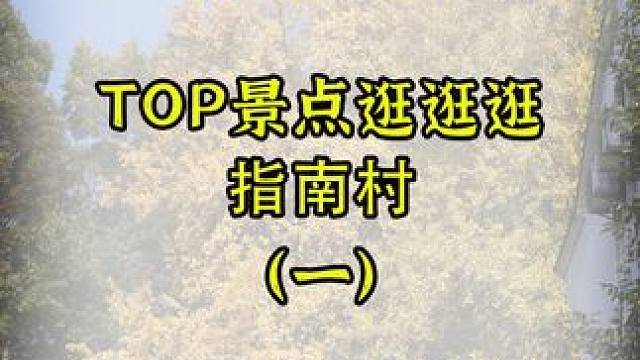 11.16实拍！金色童话指南村秋色《徒步指南》 邂逅江南醉美秋色 基本信息 位置：杭州市临安区太