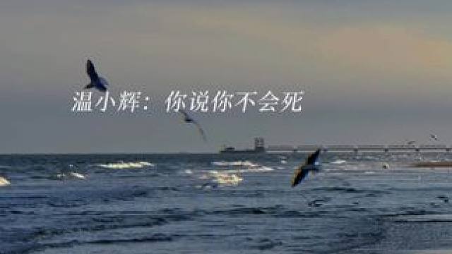 你可以永远相信锦鲤的哭戏呜呜呜呜（字素：林夕LX）