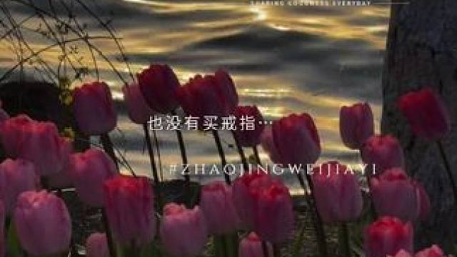 竞帝的求婚时刻