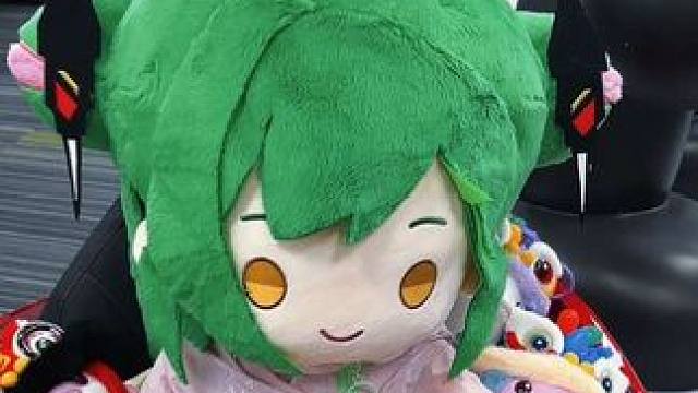 这样萌的“大湾鸡”虫娘有六只！