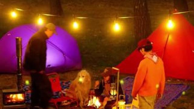 三人一狗去露营