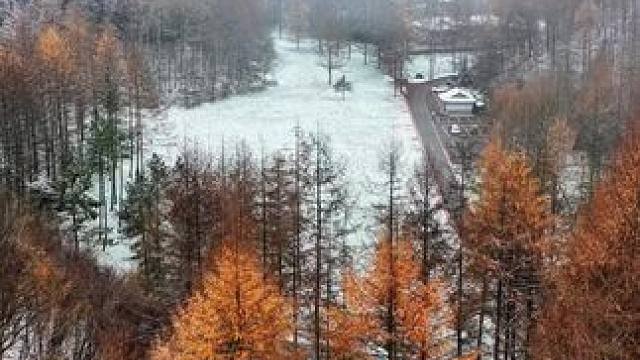 这个冬天你总要来一次曾家山看看这里的山和雪