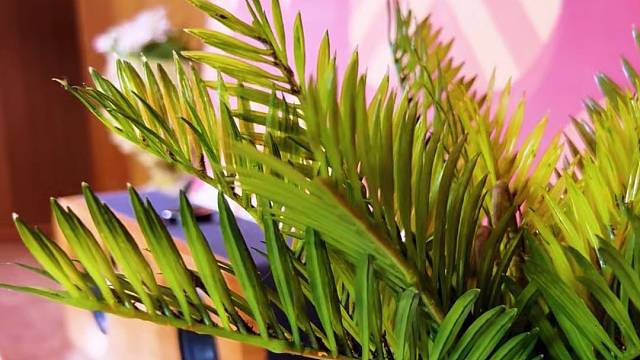 音响还原音乐每一处细节，耳朵像在“深呼吸”