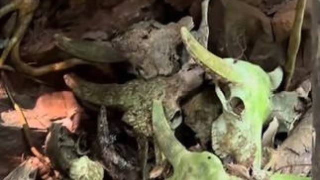 龙魔爷景区 云南虫谷充满了传奇故事 我们一行五人深入探索跟着我的视角观看历史的痕迹 #