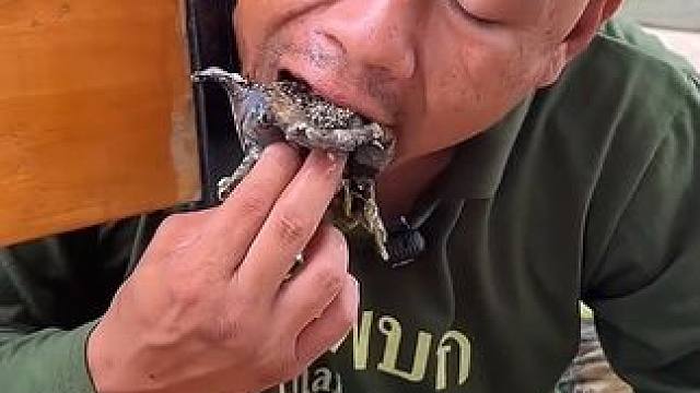 吃蛙必须满籽的