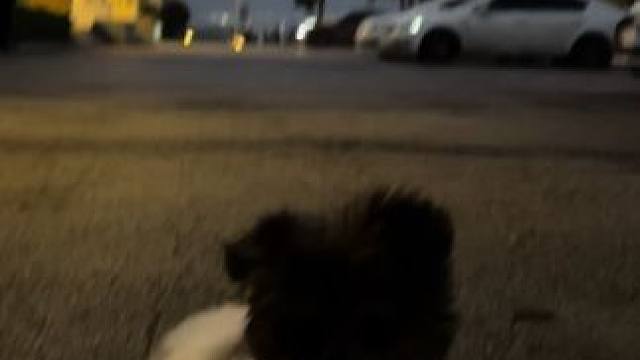 风紧，扯呼！这一跑，整个云龙湖的发型都由我守护。