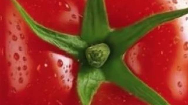 不是，没人告诉我一直溜着边吃就能赢呀