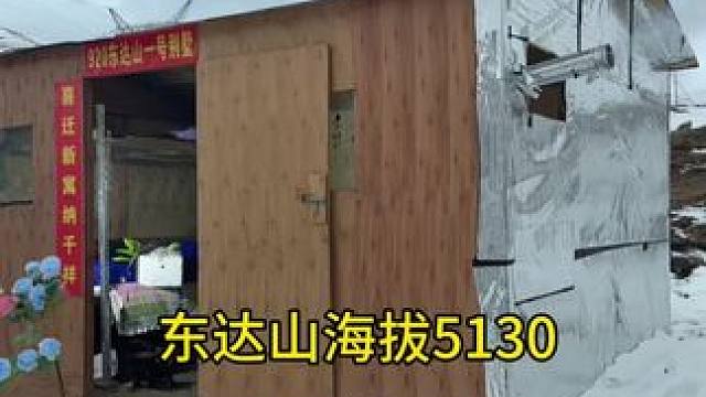 大龄单身美女从桥洞搬东达山来了，你们说桥洞安逸还是东达山好！