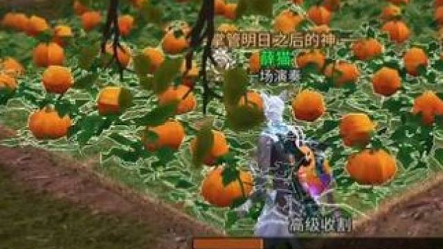 交易之城限制购买3天！就看后续博哥到底严不严了！