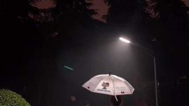 “最好的陪伴 是迁就你的热爱 哪怕委屈自己的习惯.”