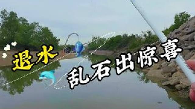 退水乱石出惊喜