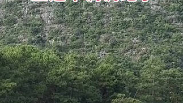 与你一起欣赏普者黑喀斯特地貌 美丽的蓝天白云、岩溶孤峰、青藤蜜薯，构成了浑然一体的自然画卷