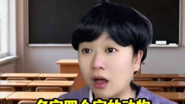 有没有4个字的动物