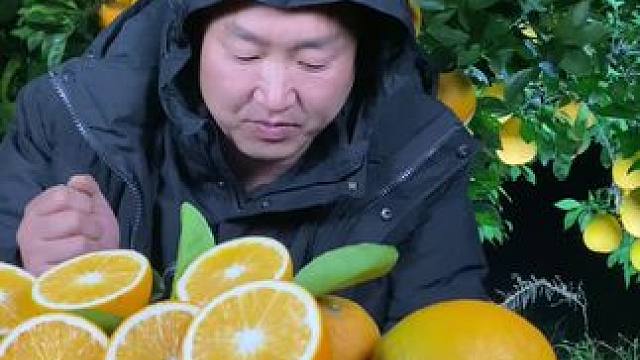 差点没把我笑死