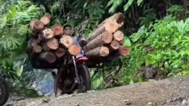 就问你服不服这️