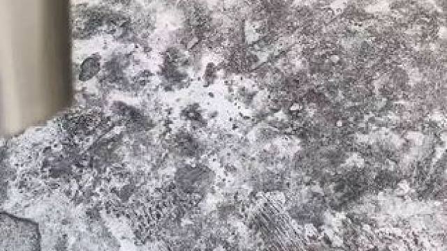 我发布了一个新视频，快来围观吧！