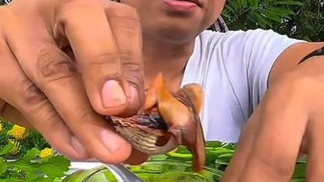 这大毛蛤真新鲜