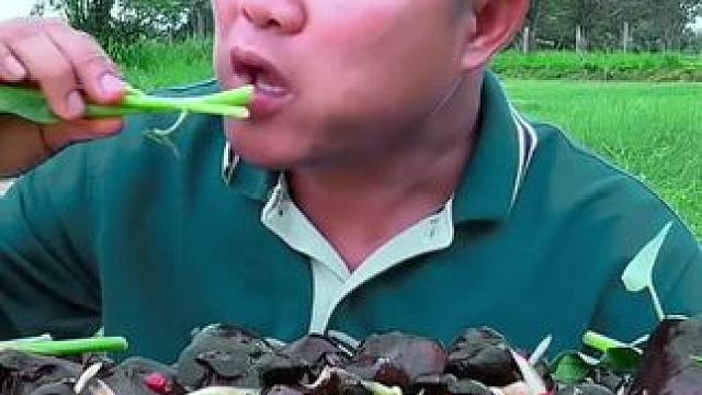 空心菜鲜辣️木瓜丝沙拉大黑蘑菇‍