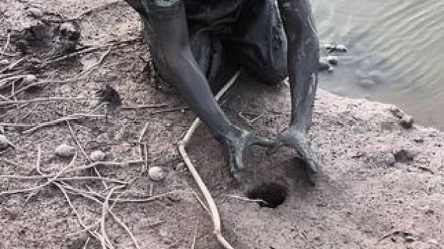 拳头这么大的洞你们见过吗？你们猜猜这条有没有一斤？