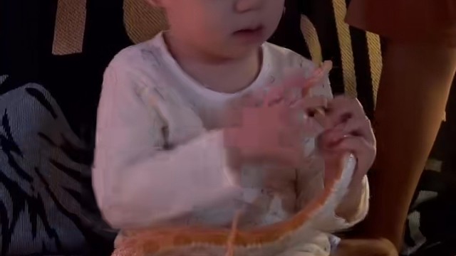 要玩异宠一定要从娃娃抓起！