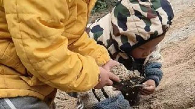 双双今天玩得挺开心的。