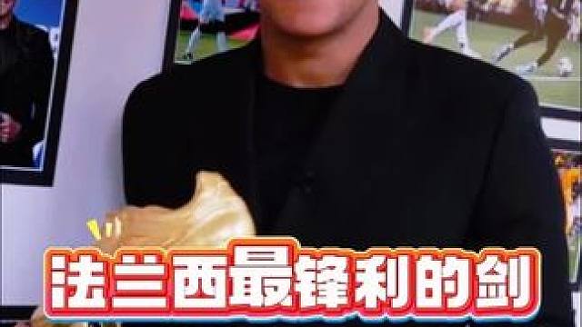 法兰西最锋利的剑