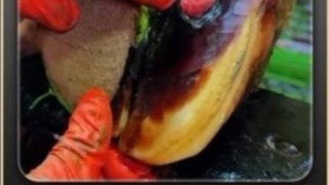 能刷到终极后续视频，你强的可怕