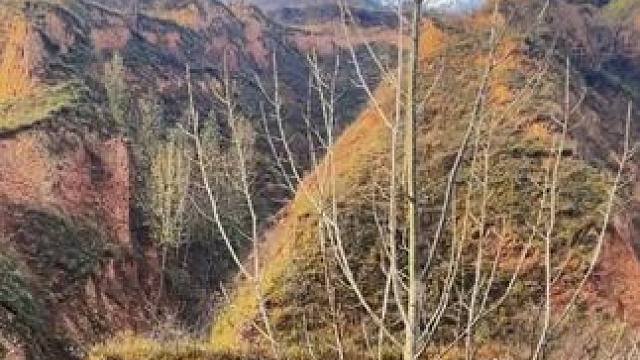 他乡纵有干般好，不抵家乡一缕风，有时间回老家看看吧，家乡的田园 村庄和亲人是自己梦的地方，也是别人的