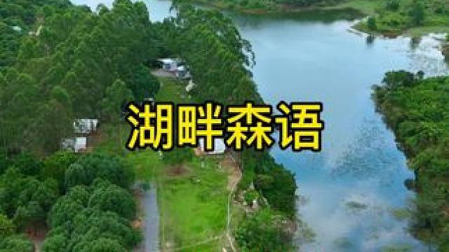 99%的东莞人都不知道，市区边竟有这片秘境！