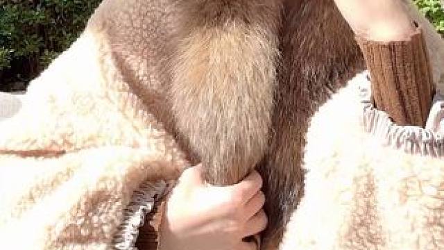 没有点硬菜!!都不敢给大家发，哈哈哈哈