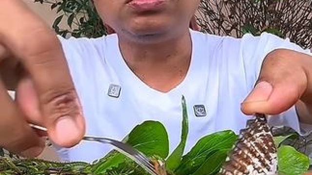 剁椒酱汁️配上刺身大毛蛤