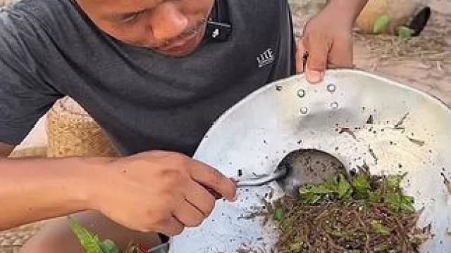 好吃又下饭的凉拌跳跳虾