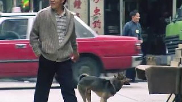 看完整版 大结局太精彩了 《西瓜视频》，观看精彩后续《西瓜视频》，观看精彩后续《西瓜