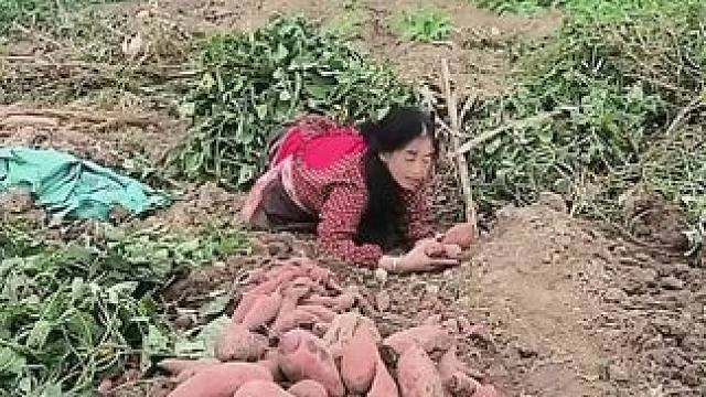 山卡卡里的农村大姐一部手机直播30天变现2000新人首播一个小工具直接拿去用轻松开播