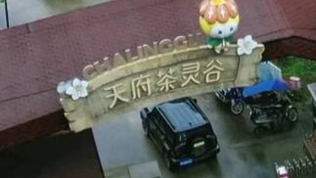 天府茶灵谷你就玩吧，一玩一个不吱声