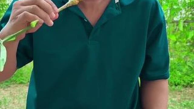 野生小姜在院子里的下午茶️