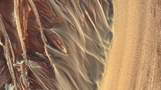 钱塘江入海口今日惊现自然魔法！恰逢小雪节气，江海交汇处涌起金色沙脉，如绸缎舞于碧波之间。潮水揉碎夕阳