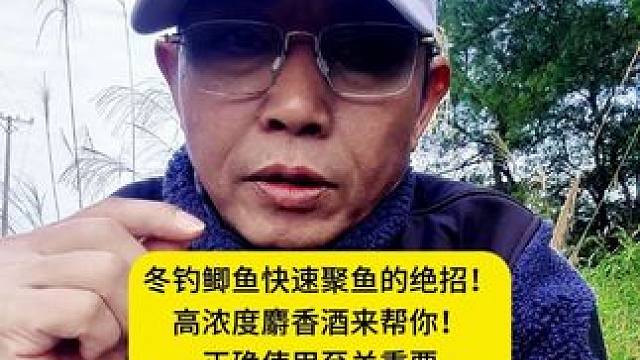 冬钓鲫鱼快速聚鱼的绝招！高浓度麝香酒来帮你！正确使用至关重要 冬钓鲫鱼快速聚鱼的绝招！高浓度麝香酒来