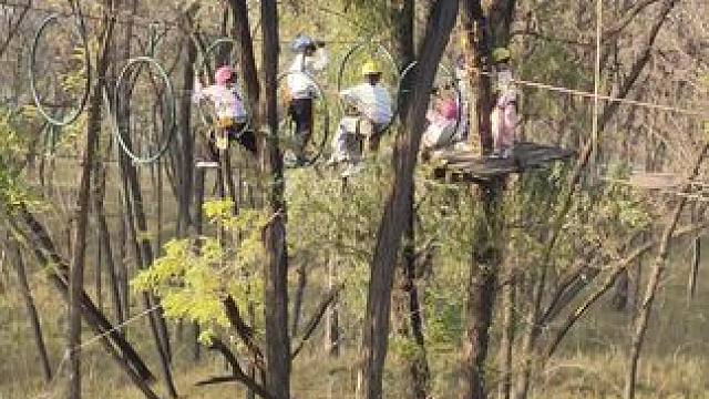 我发布了一个新视频，快来围观吧！