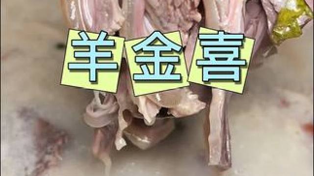 羊金喜 玫瑰小镇开新店了，烤大鱼19元一条