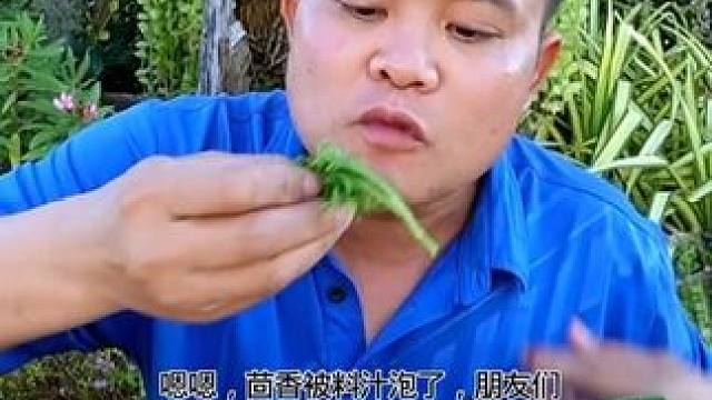 茴香鲜辣凉拌️小生蚝肉