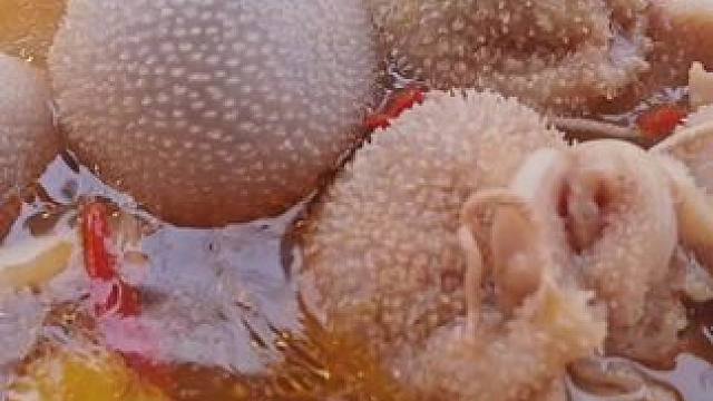 应该大多数人都吃过了把